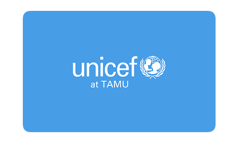 Me leading a TAMU UNICEF activity